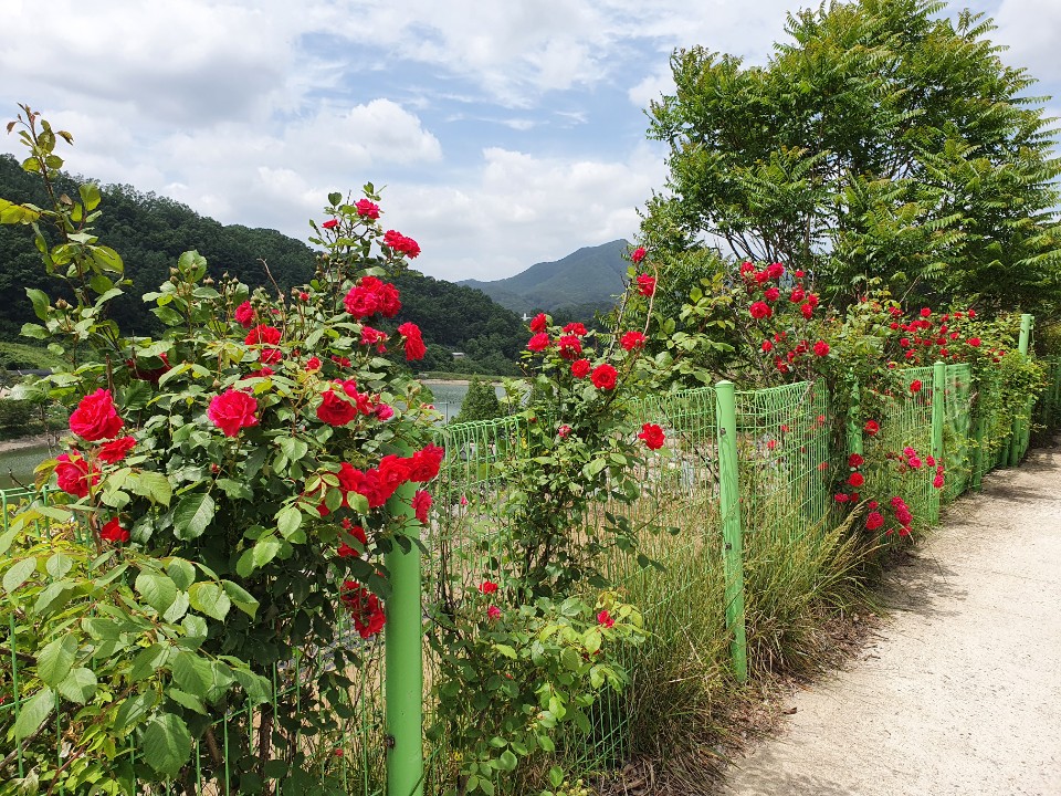 만인산노인요양원 이미지 4