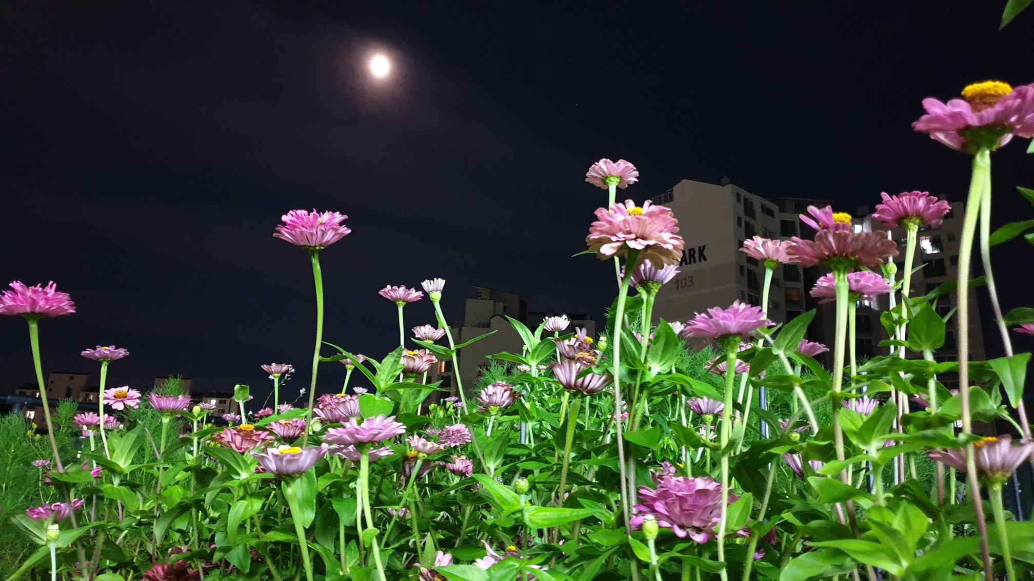 사랑의마을요양원 이미지 5