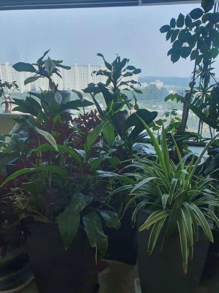 한가족요양원 이미지 4