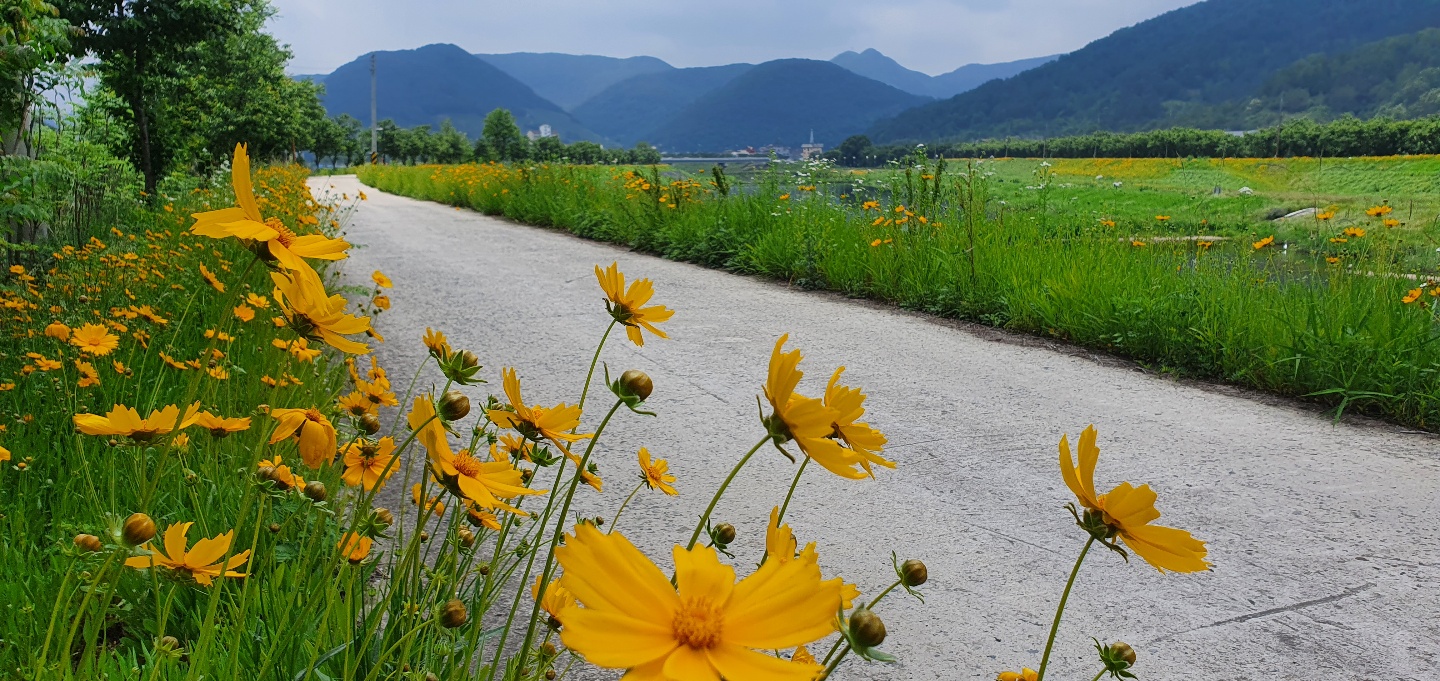 노인요양시설 효심마을 이미지 4