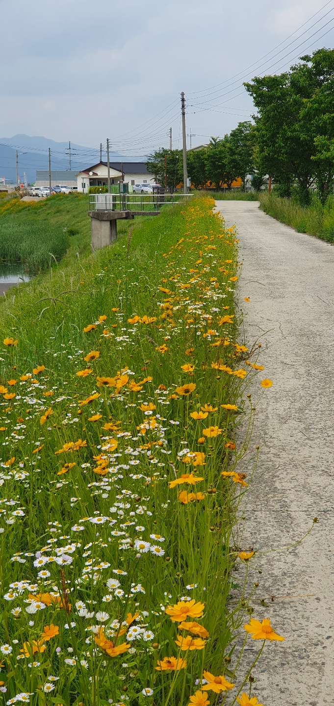 노인요양시설 효심마을 이미지 3