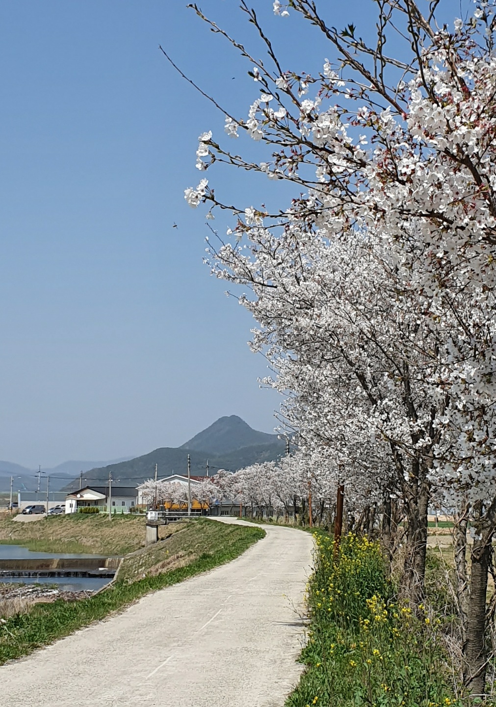 노인요양시설 효심마을 이미지 2