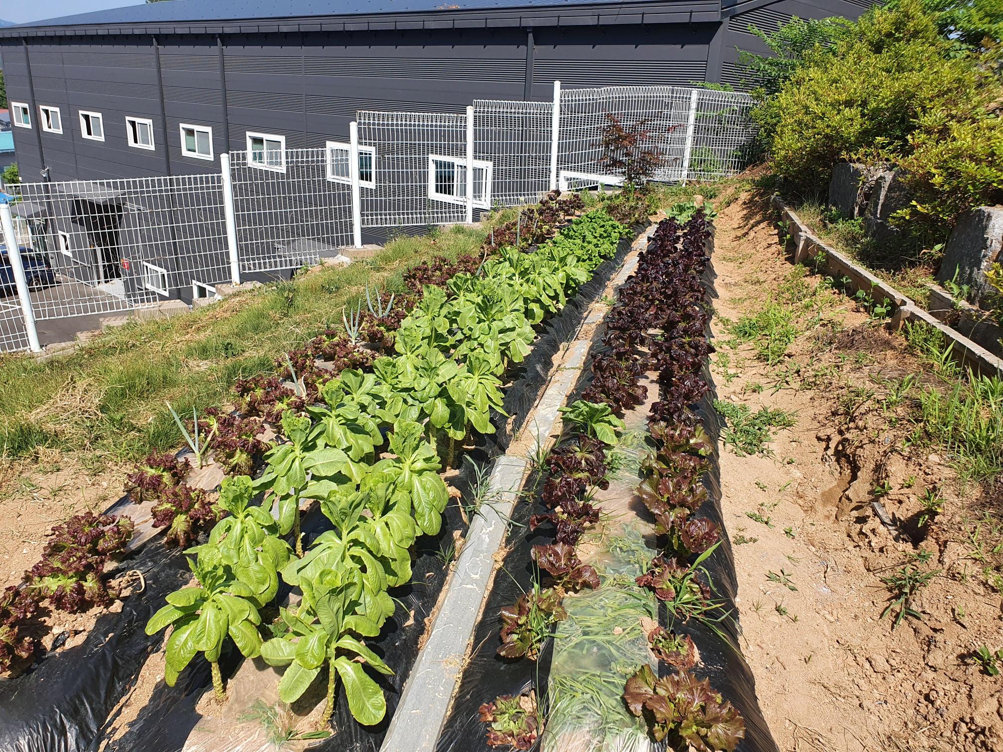 일산 수 요양원 이미지 32