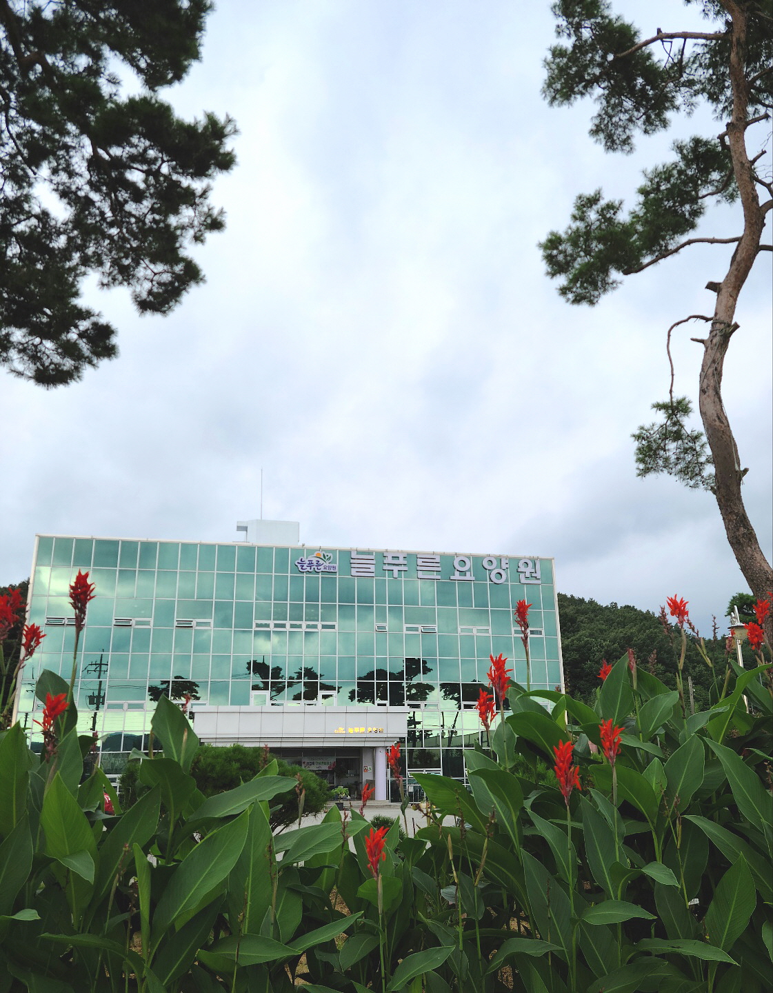 늘푸른요양원 이미지 8