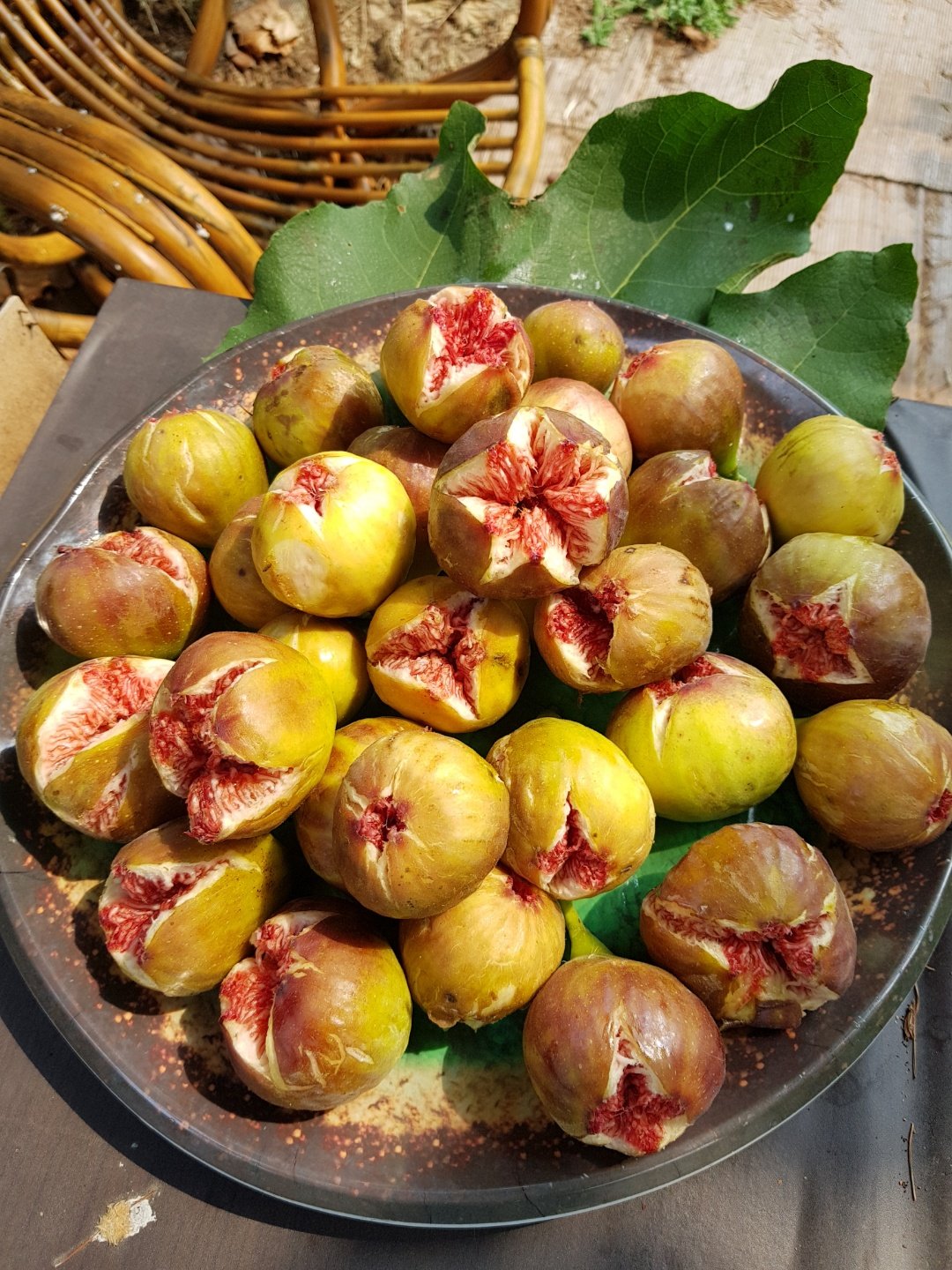 행복한요양원 이미지 4