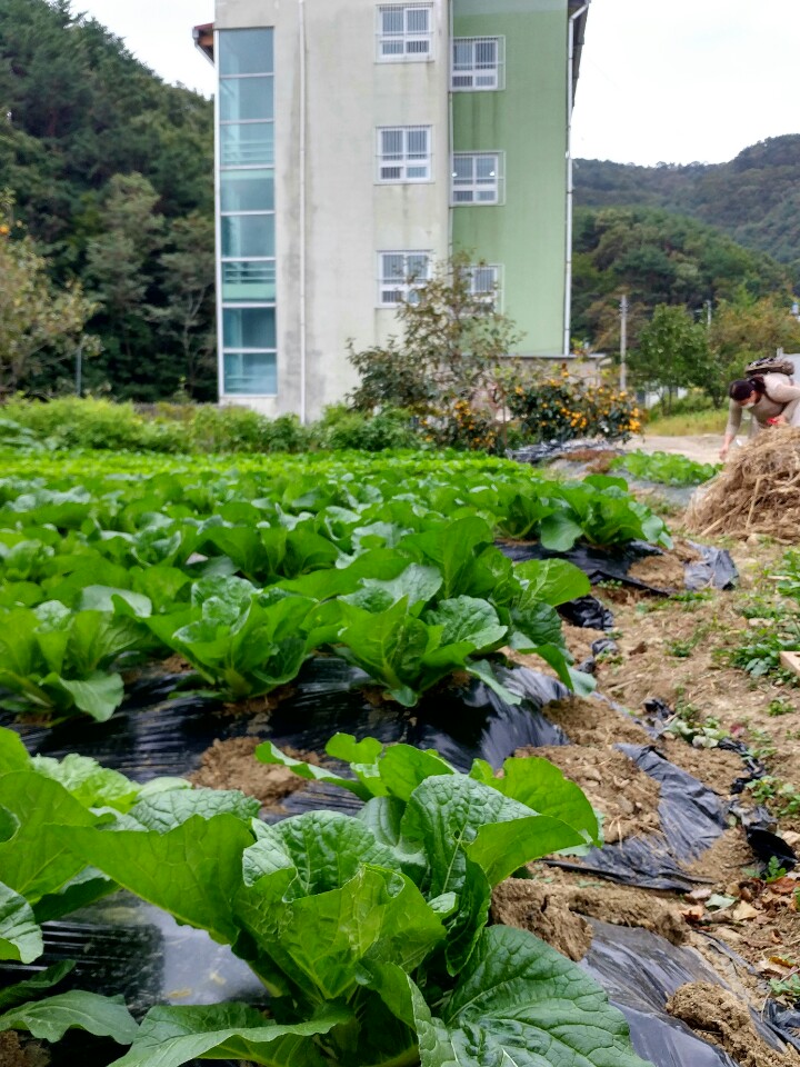 백양실버홈 전원생활어르신의집 이미지 3