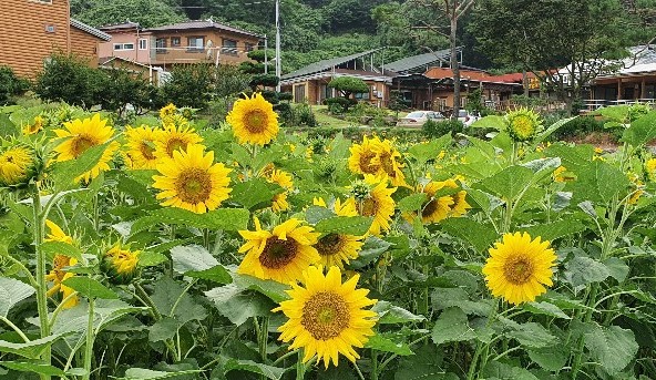 사랑마을요양원 이미지 6