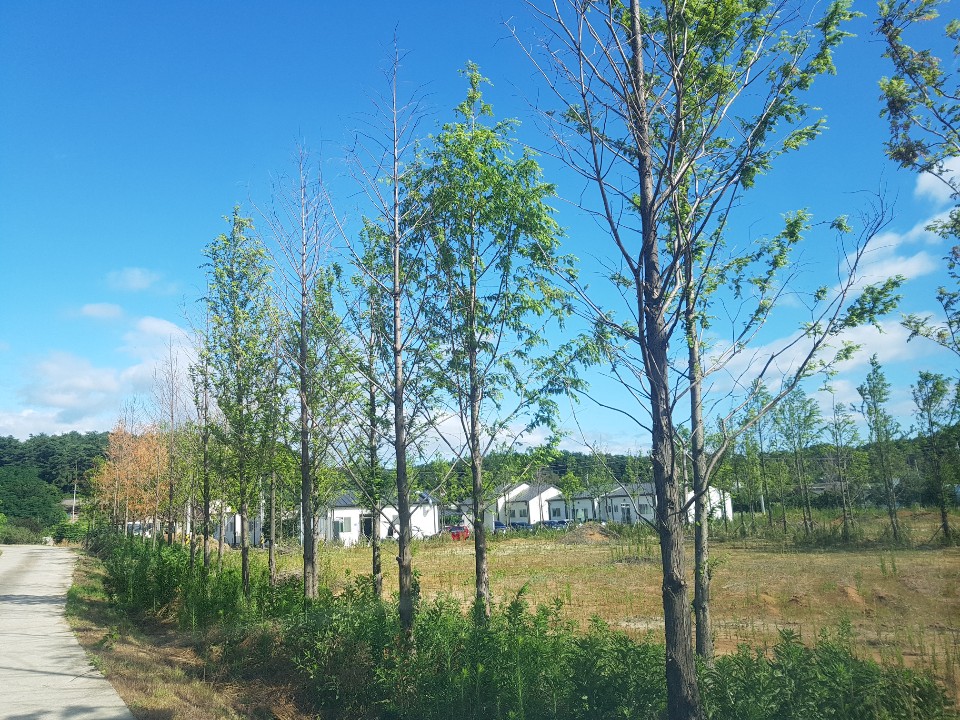 연담요양원 이미지 2