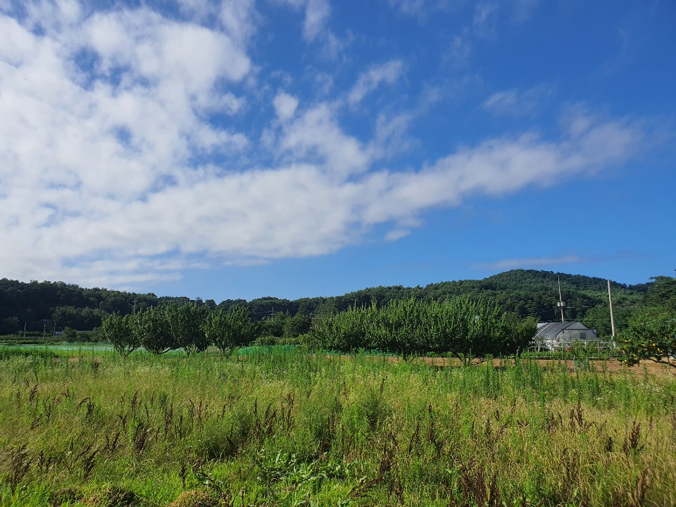 연담요양원 이미지 3