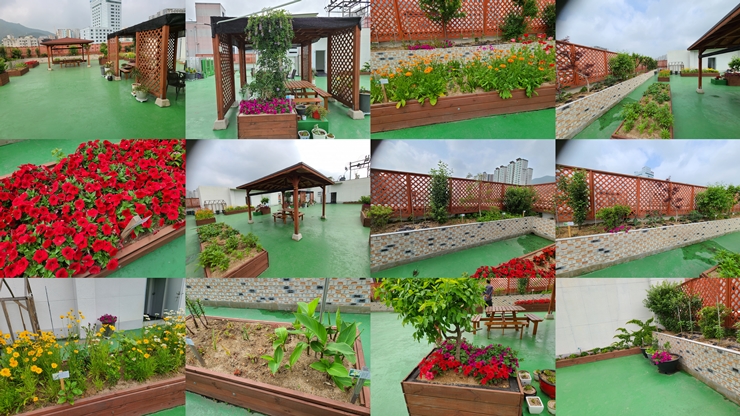 복수초요양원 이미지 13