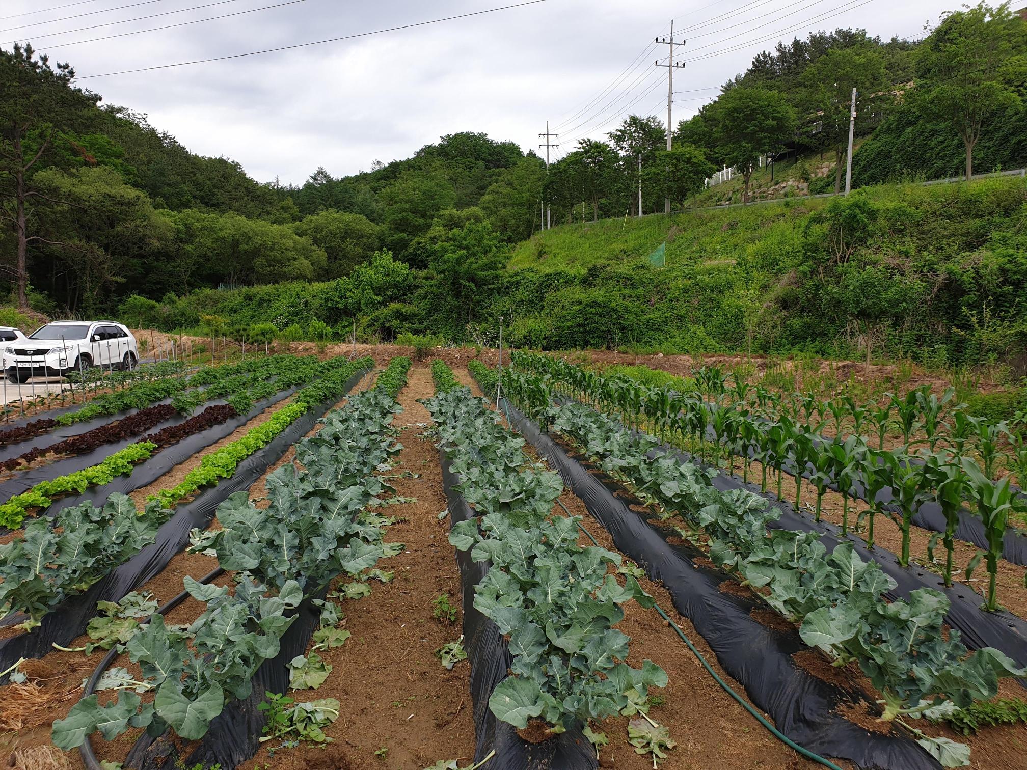 목천요양원 이미지 33