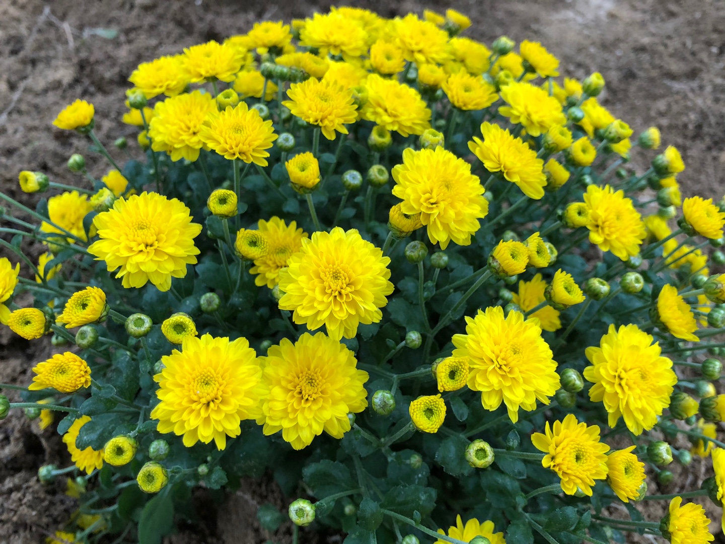 창녕군노인전문요양원 이미지 2