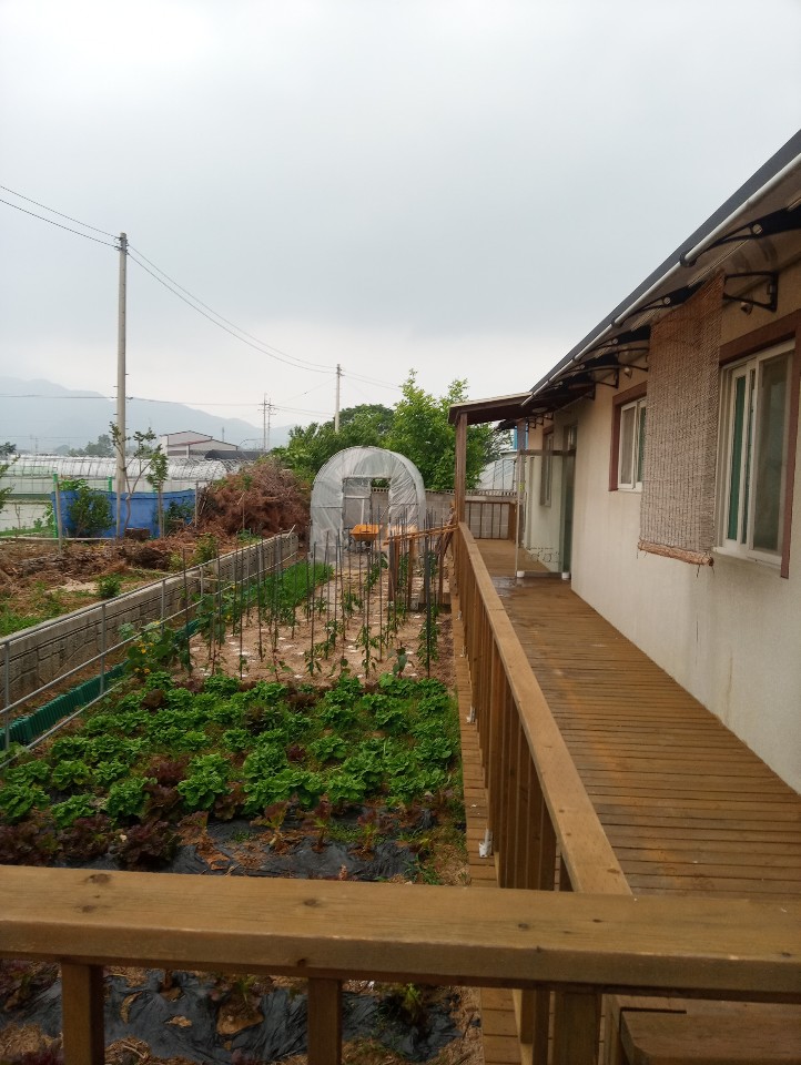 봄날요양원 이미지 5