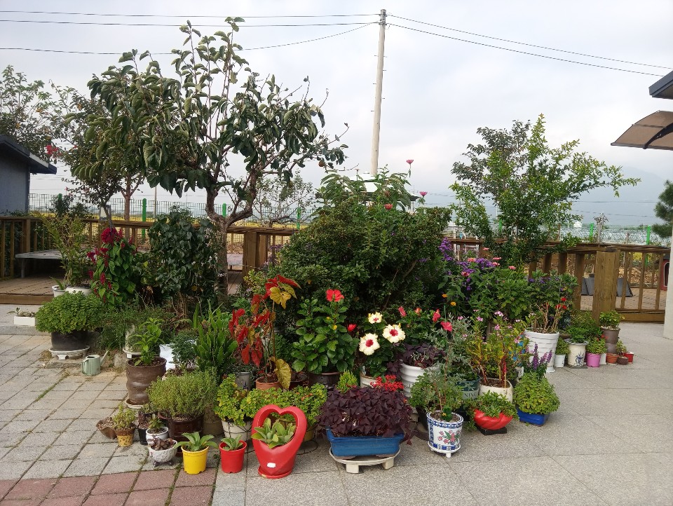 봄날요양원 이미지 3