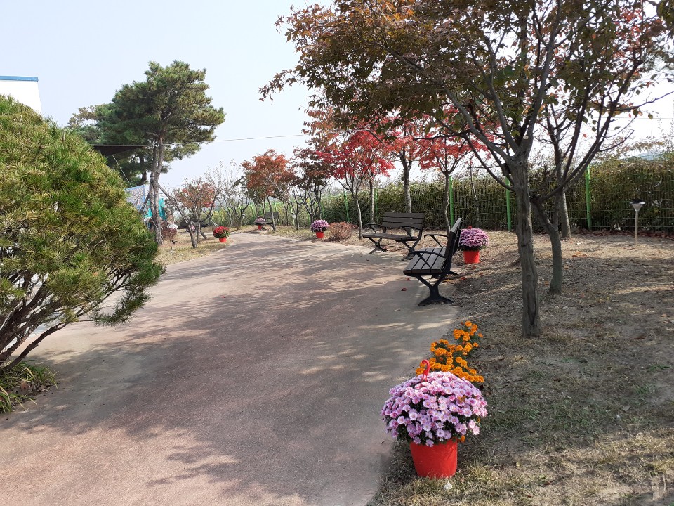 한나그린힐 이미지 5