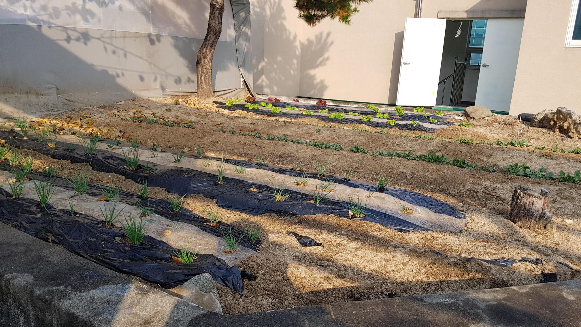 새늘청주요양원 이미지 3