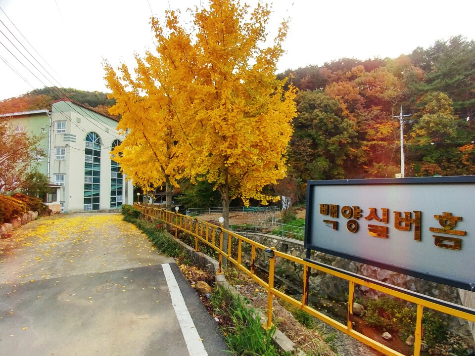 백양실버홈 전원생활어르신의집 이미지 2