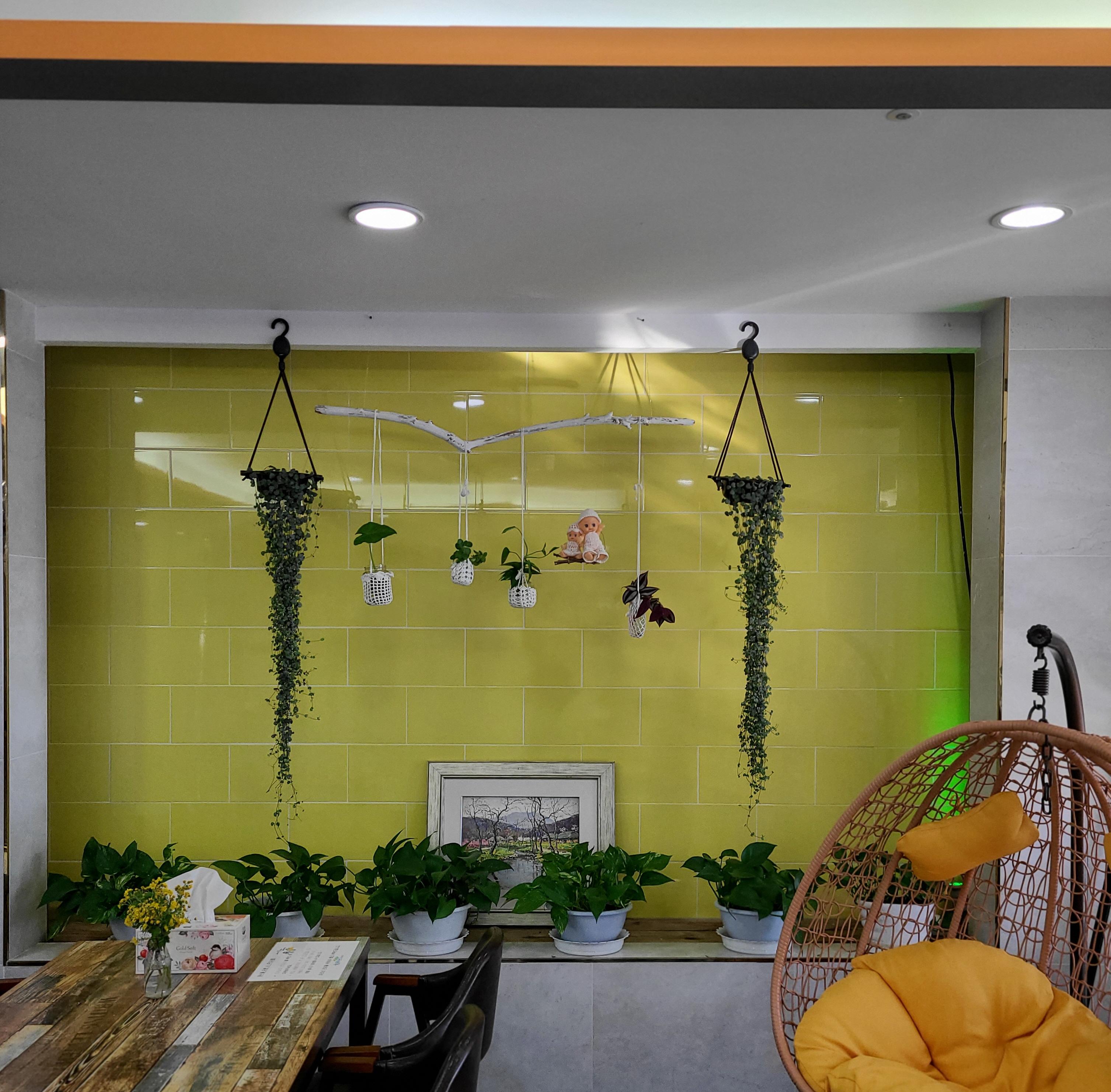 늘푸른요양원 이미지 14