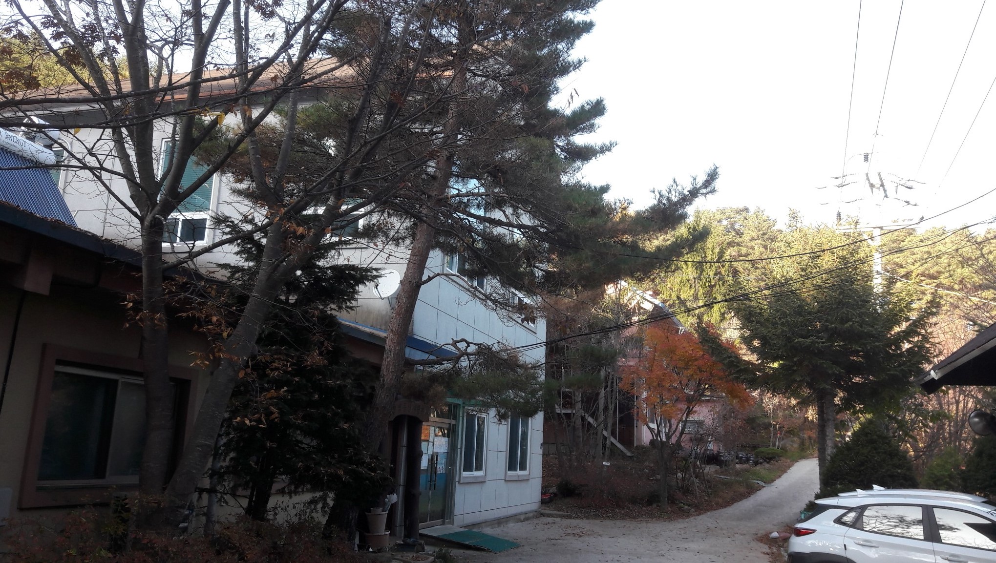 벧엘동산