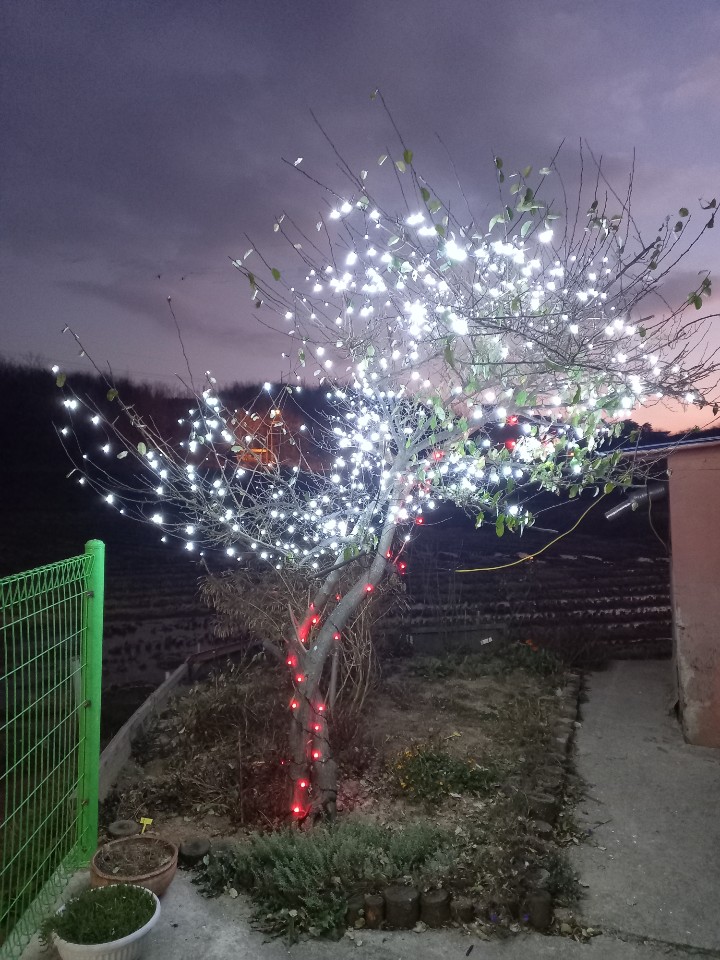 평안의집 이미지 5