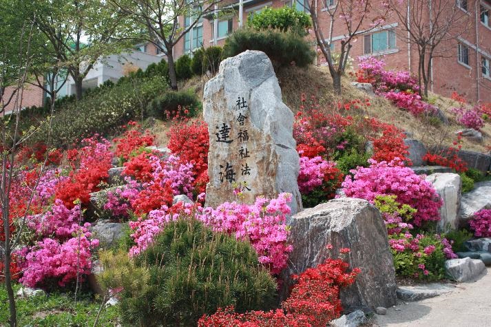 늘푸른요양원 이미지 8