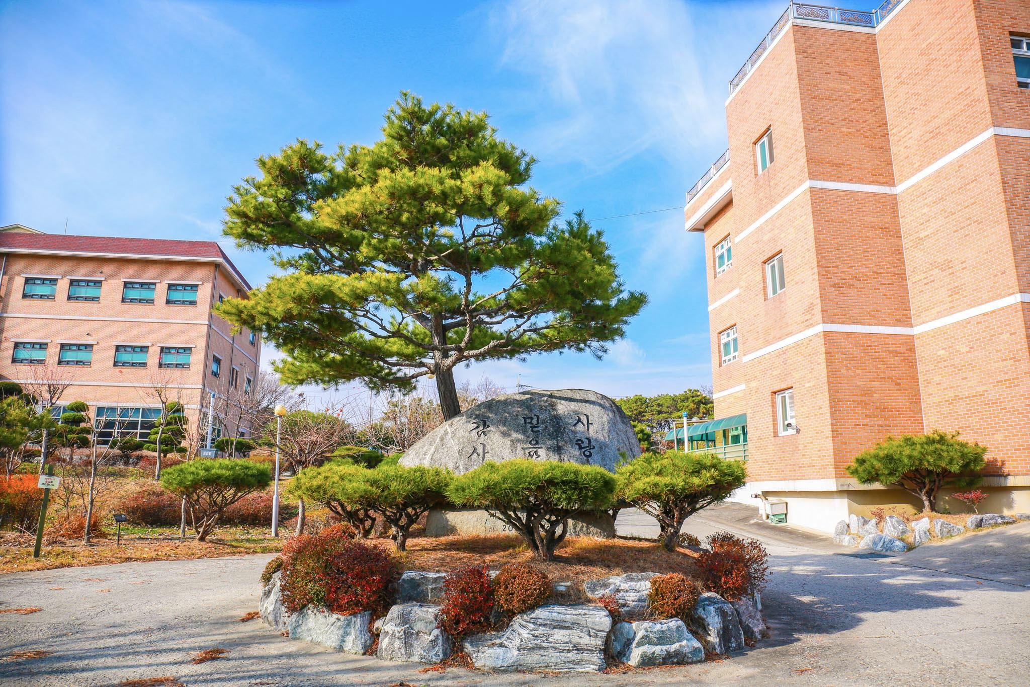 늘푸른요양원 이미지 15