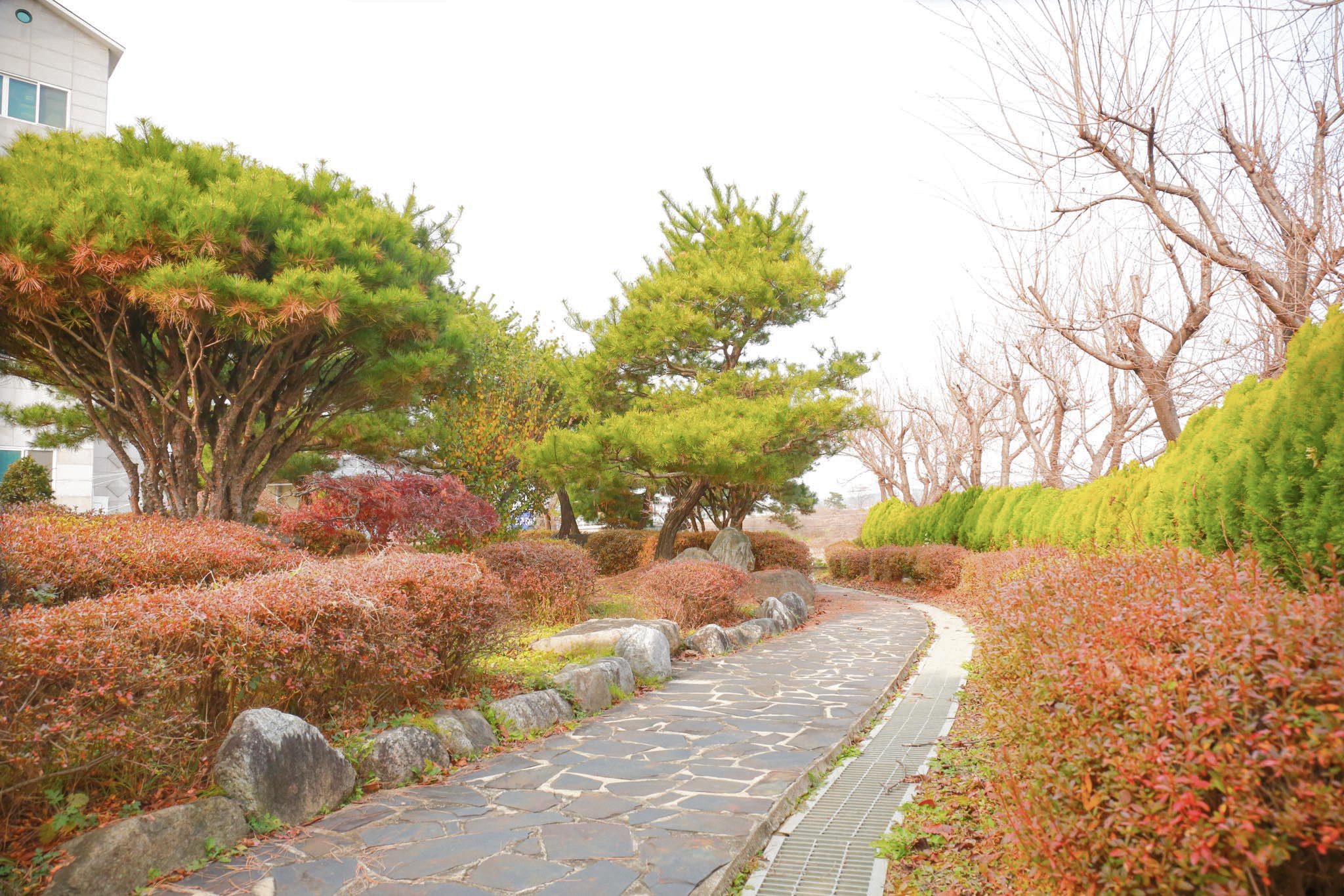 늘푸른요양원 이미지 14