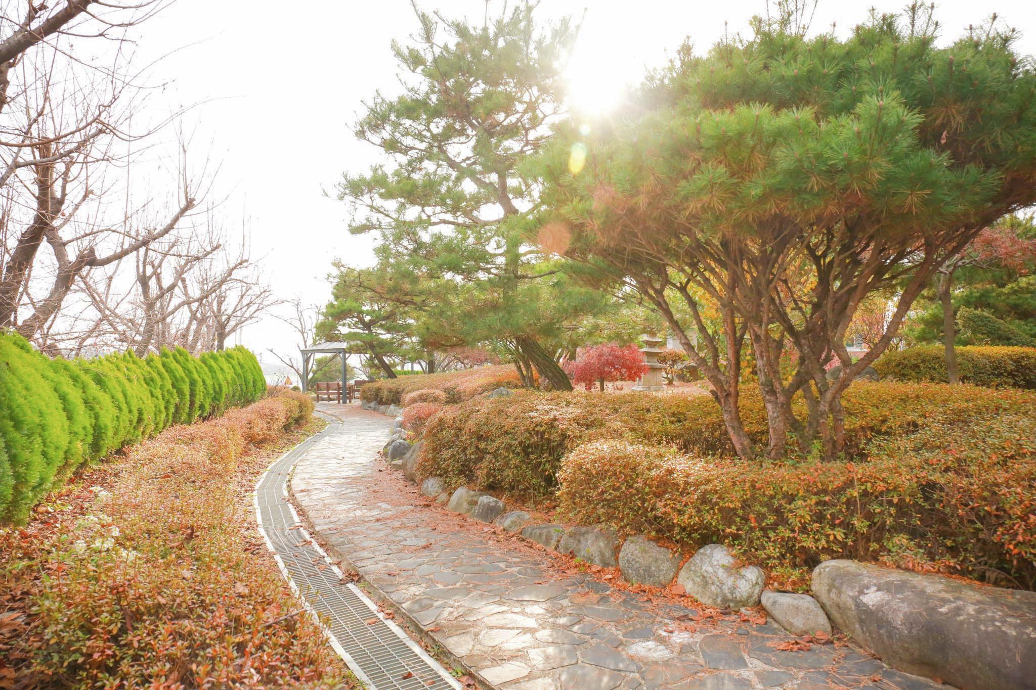 늘푸른요양원 이미지 13