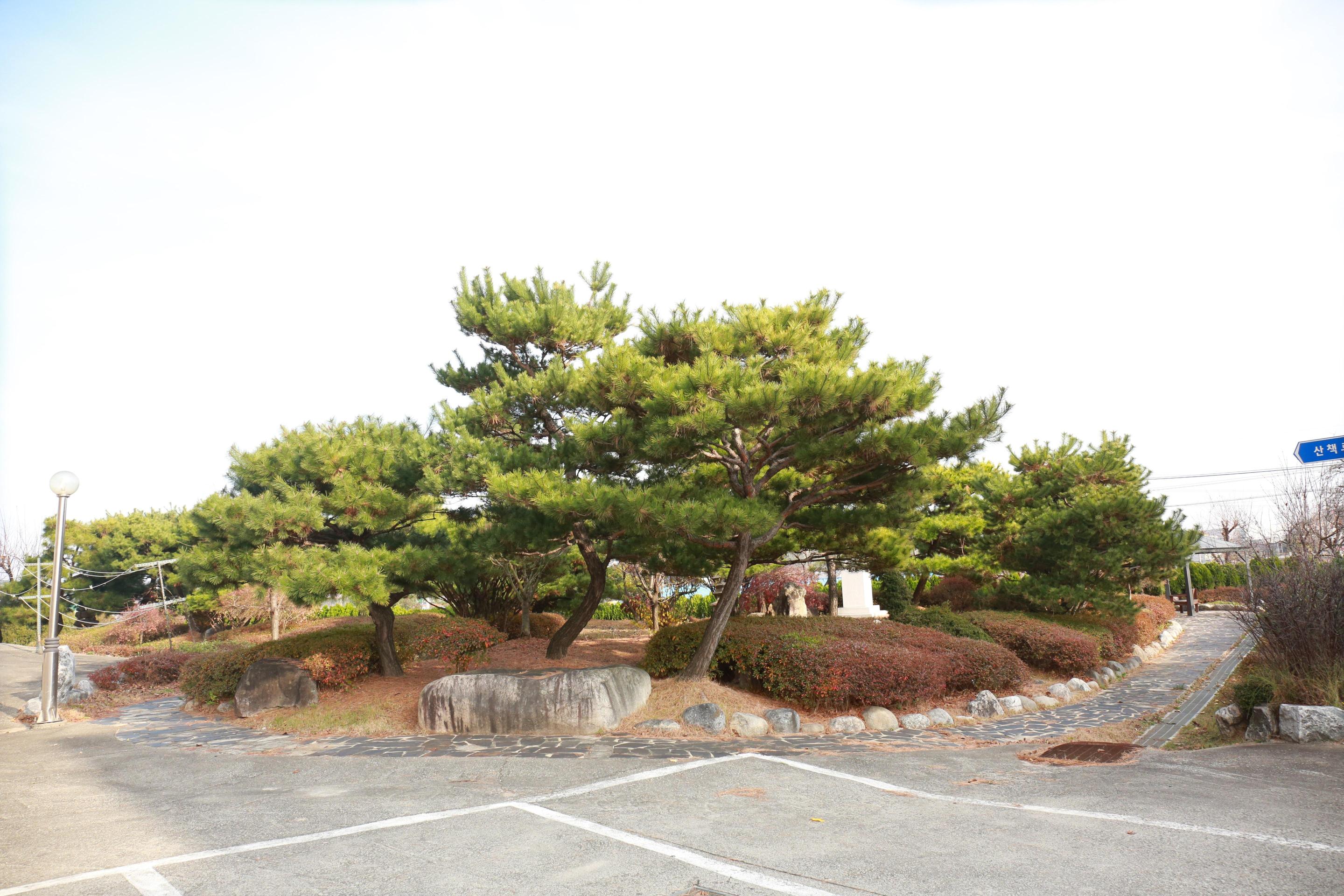 늘푸른요양원 이미지 12