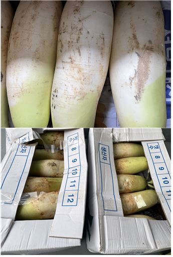 비금노인요양공동생활가정 이미지 29