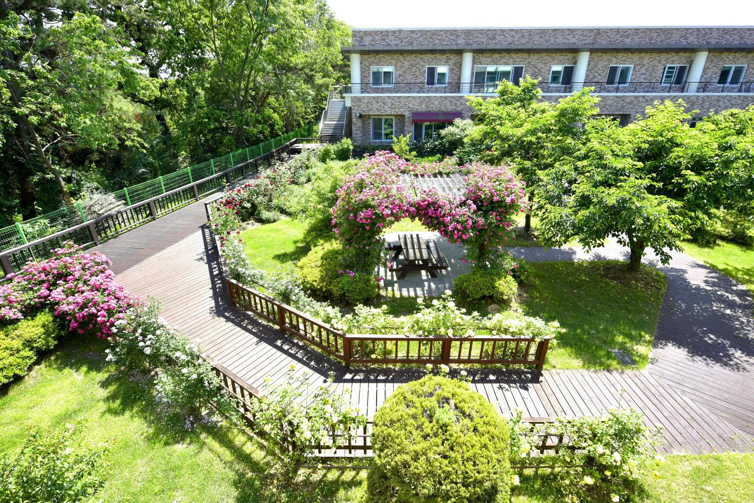 실버프리 송악 이미지 9