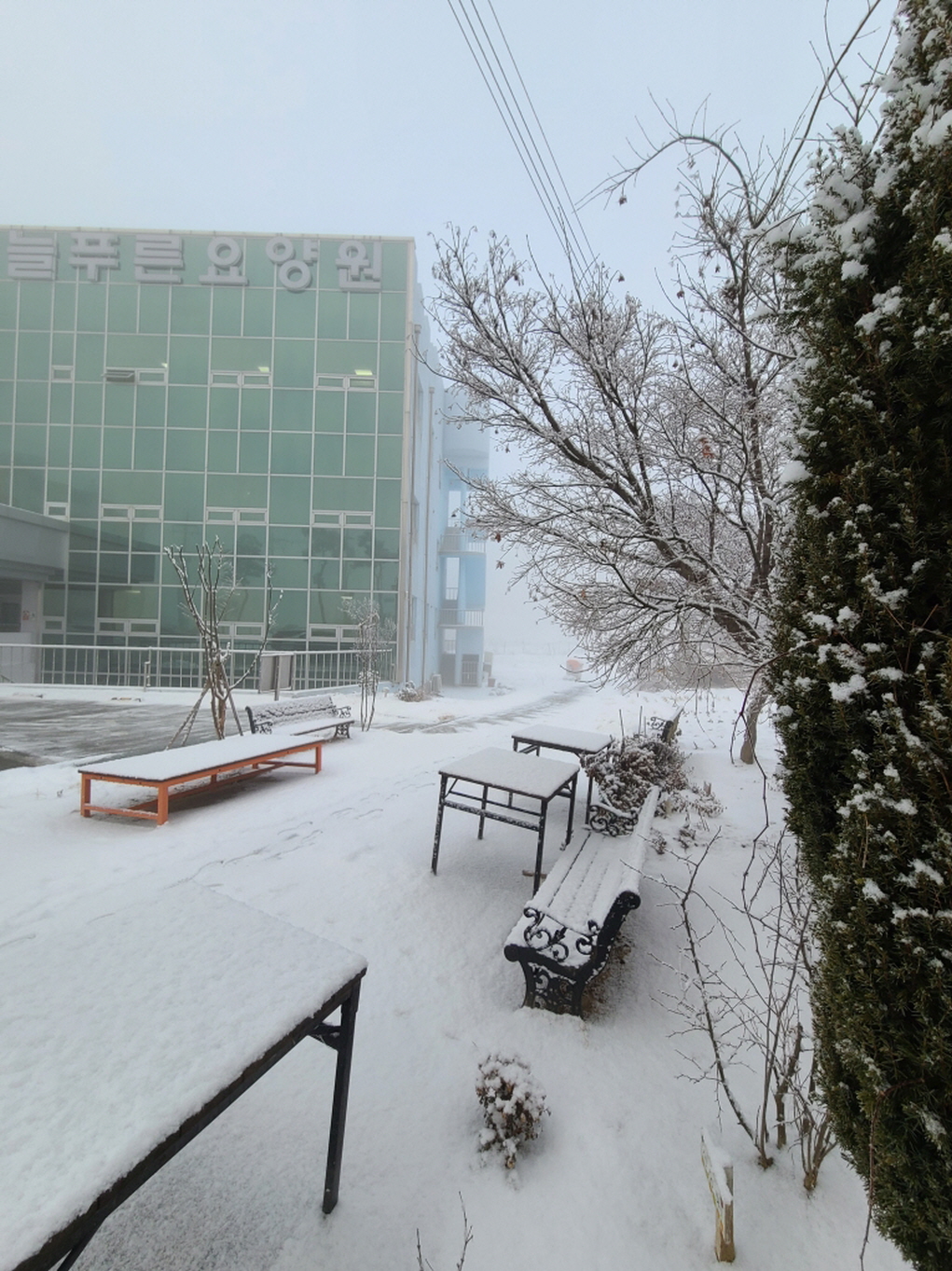 늘푸른요양원 이미지 6