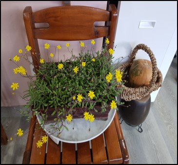 우리동산요양원 이미지 2