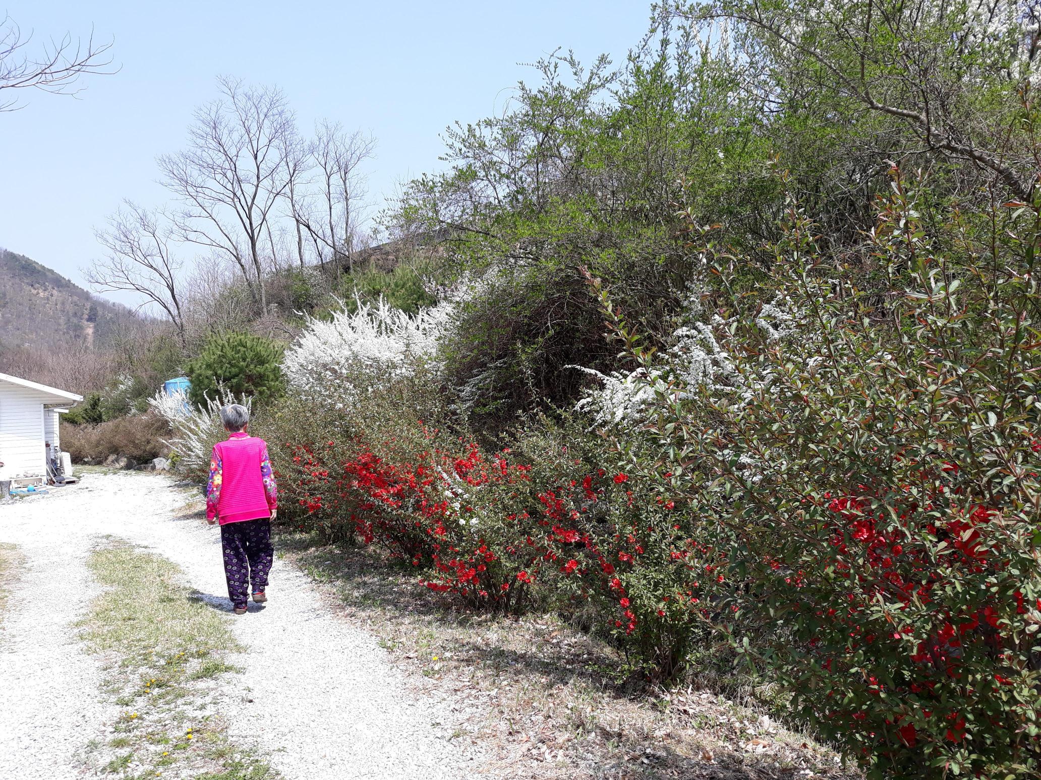 소망의집 이미지 3