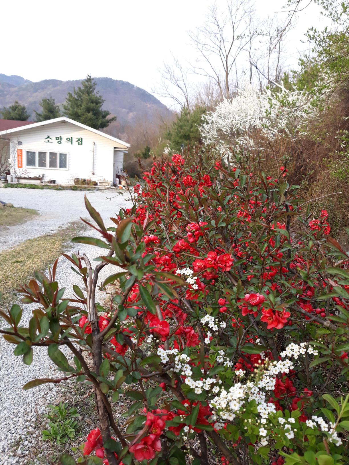 소망의집 이미지 2