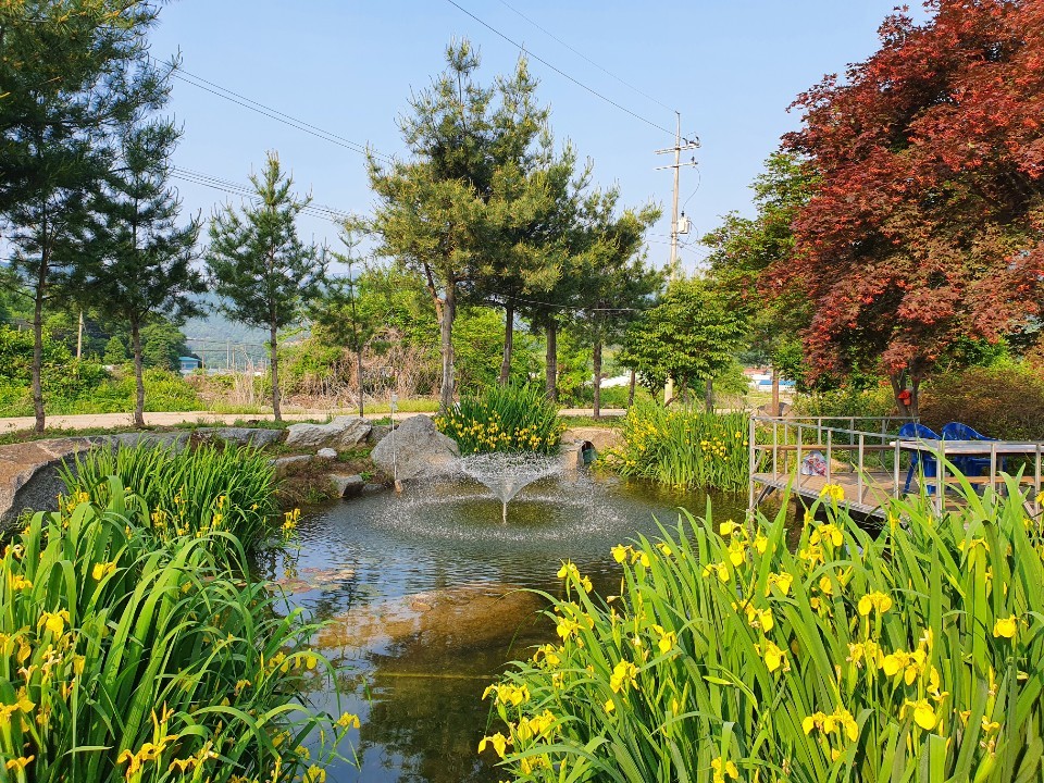 천사의집 이미지 12