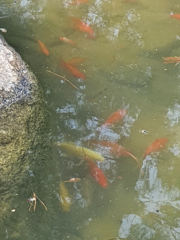 천사의집 이미지 8