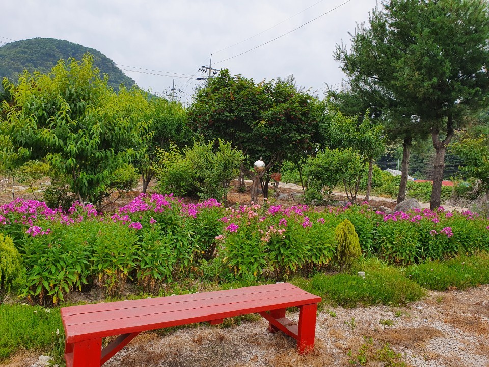 천사의집 이미지 7