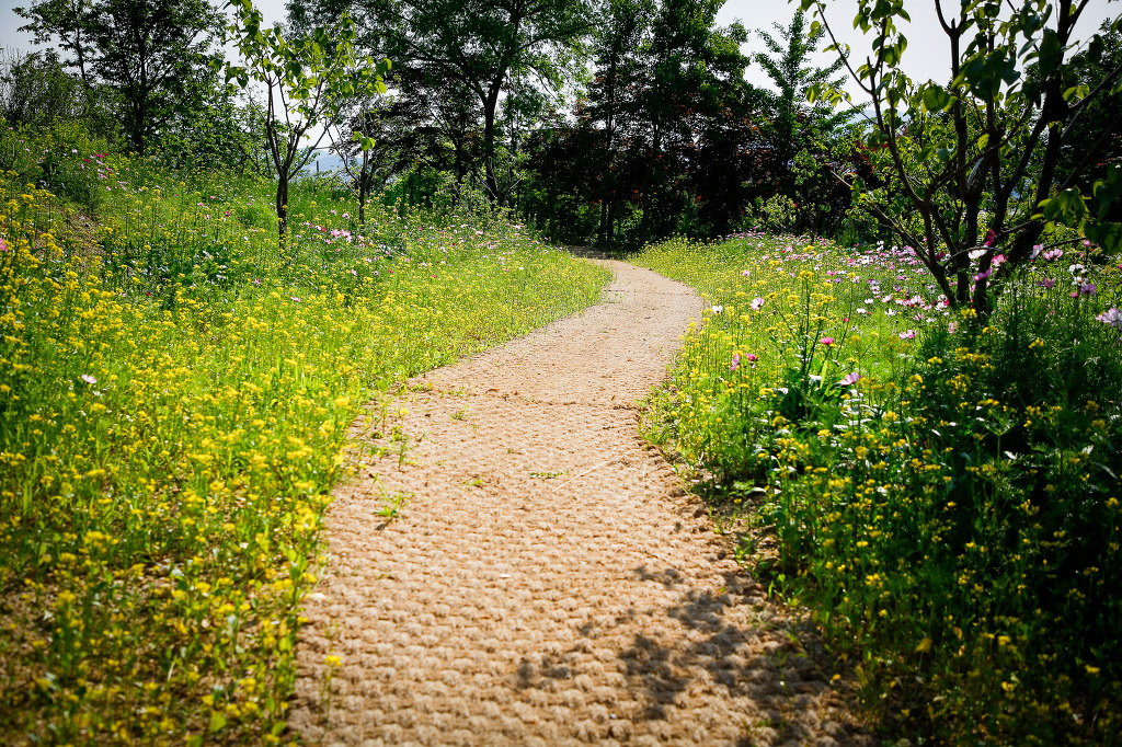 행복한 집 이미지 13