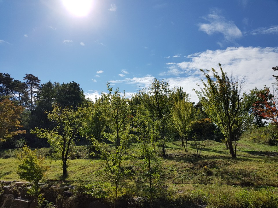 행복한 집 이미지 10