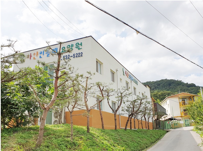 하얀민들레 이미지 2