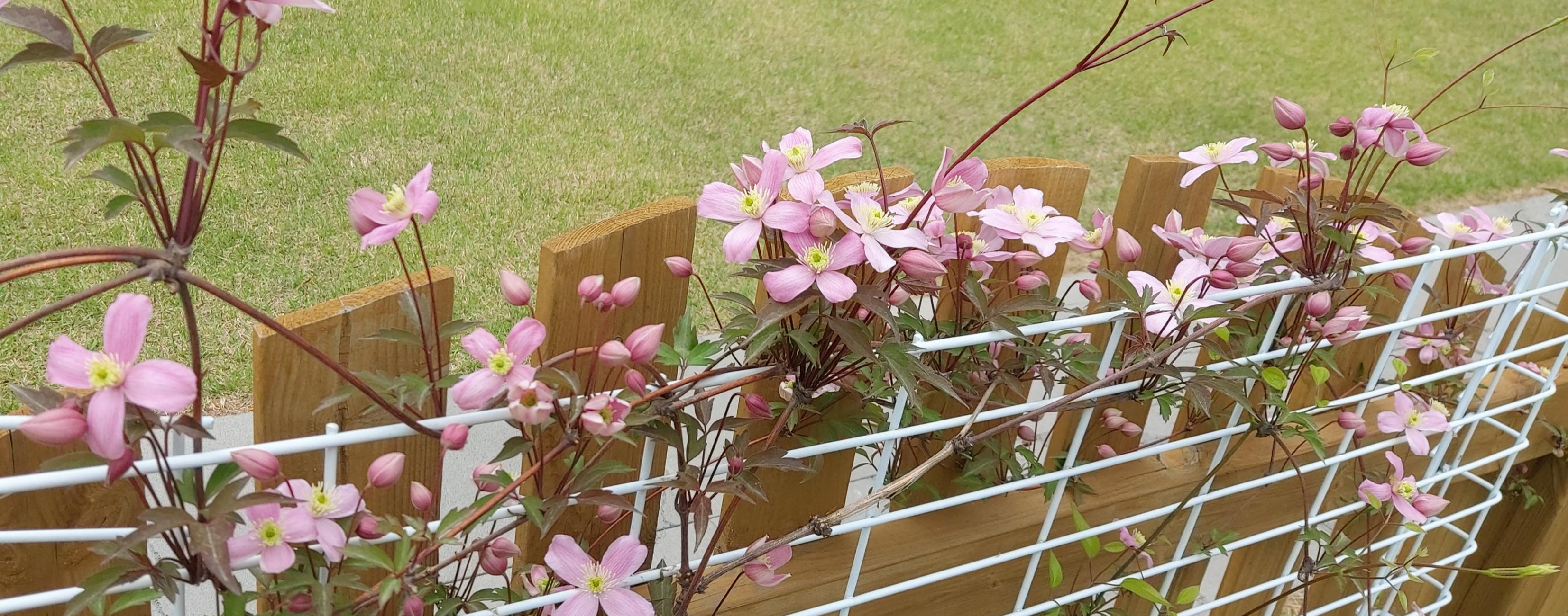 드림요양원 이미지 6