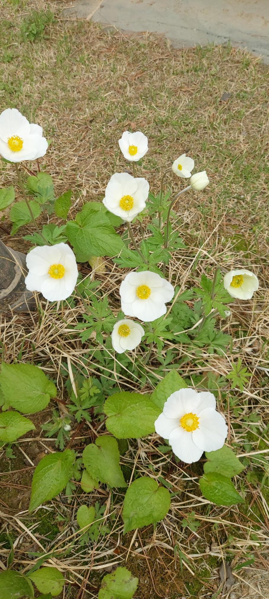 드림요양원 이미지 5