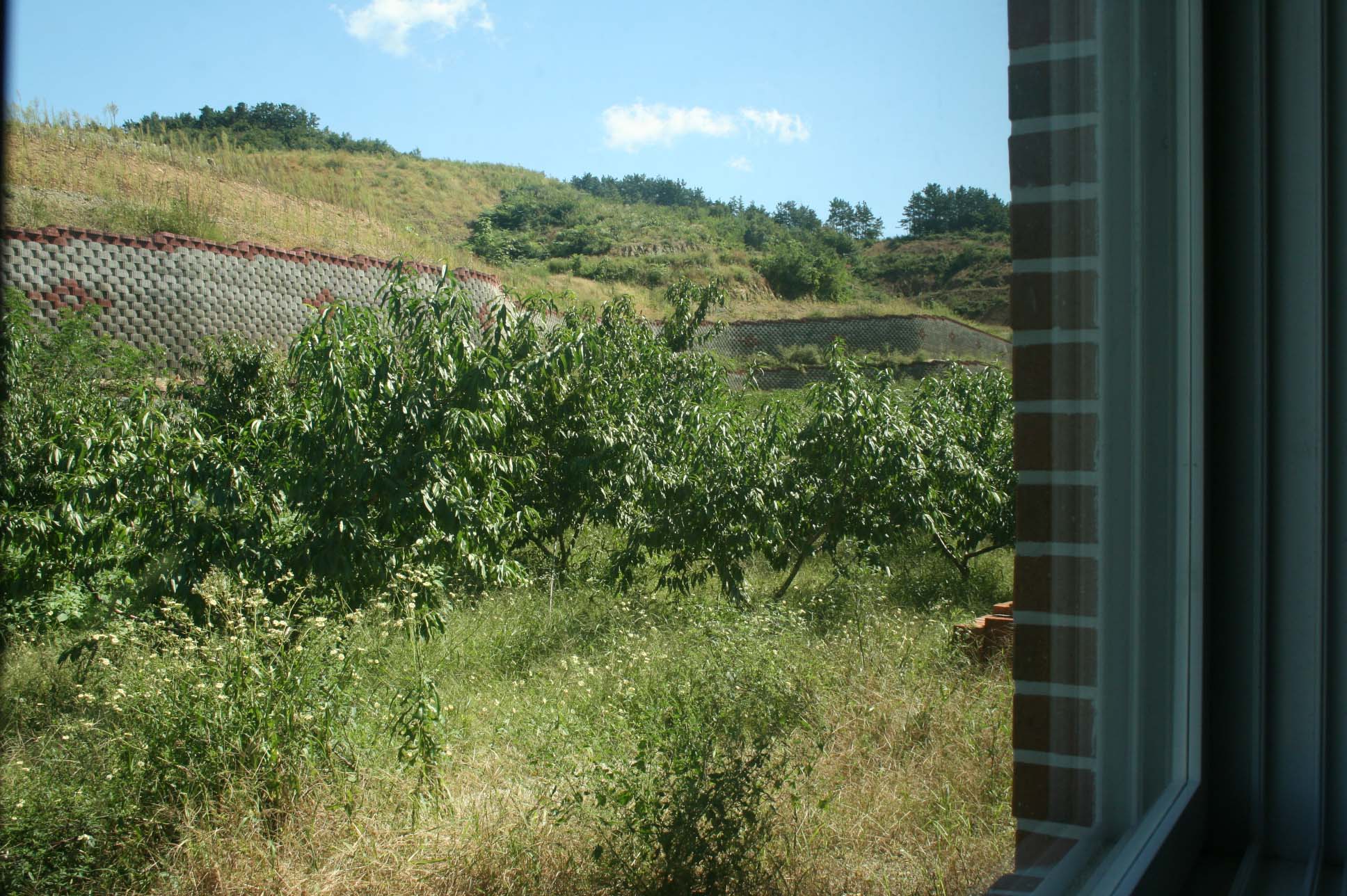 참사랑효요양원 이미지 5