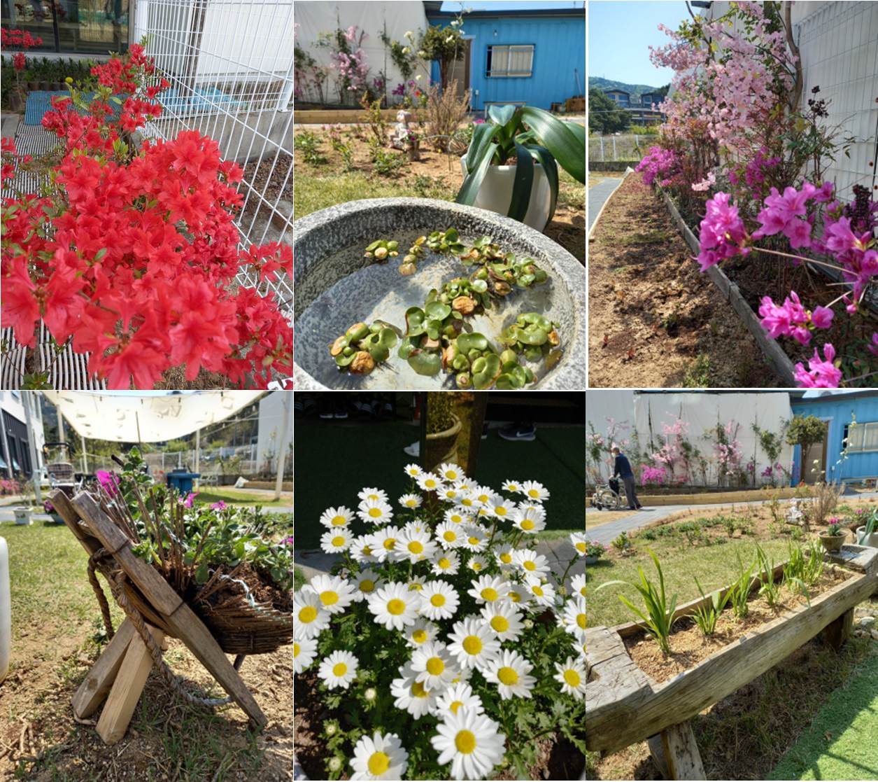 봄요양원 이미지 12