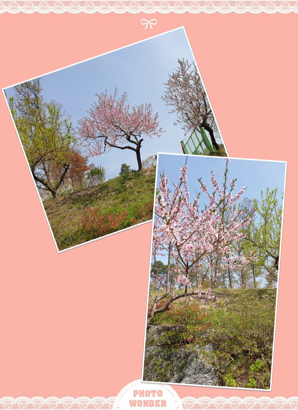 에덴의집 이미지 2