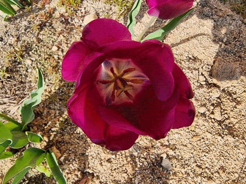 남원소망의문 이미지 3