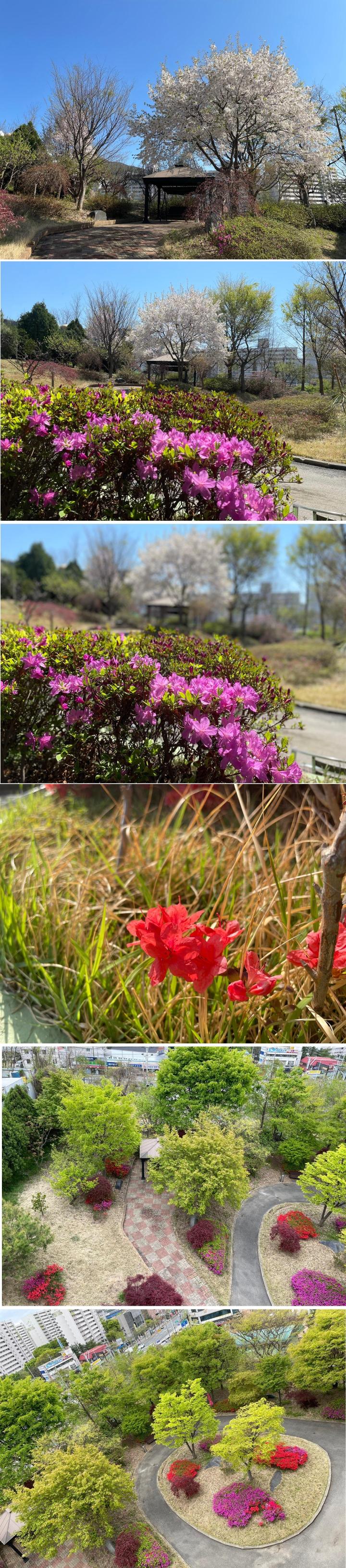 플래티늄 이미지 12