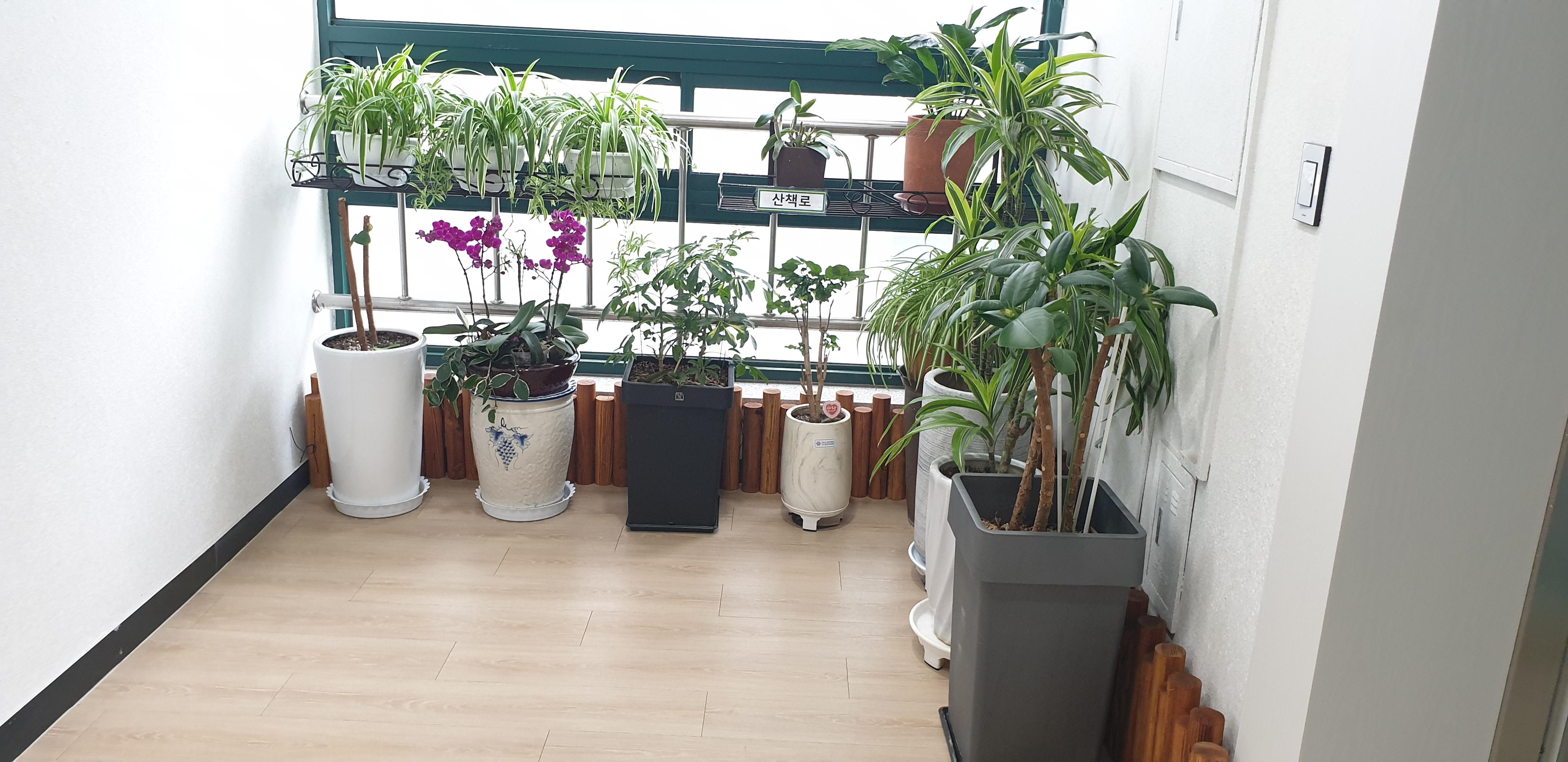 참좋은요양원 이미지 8