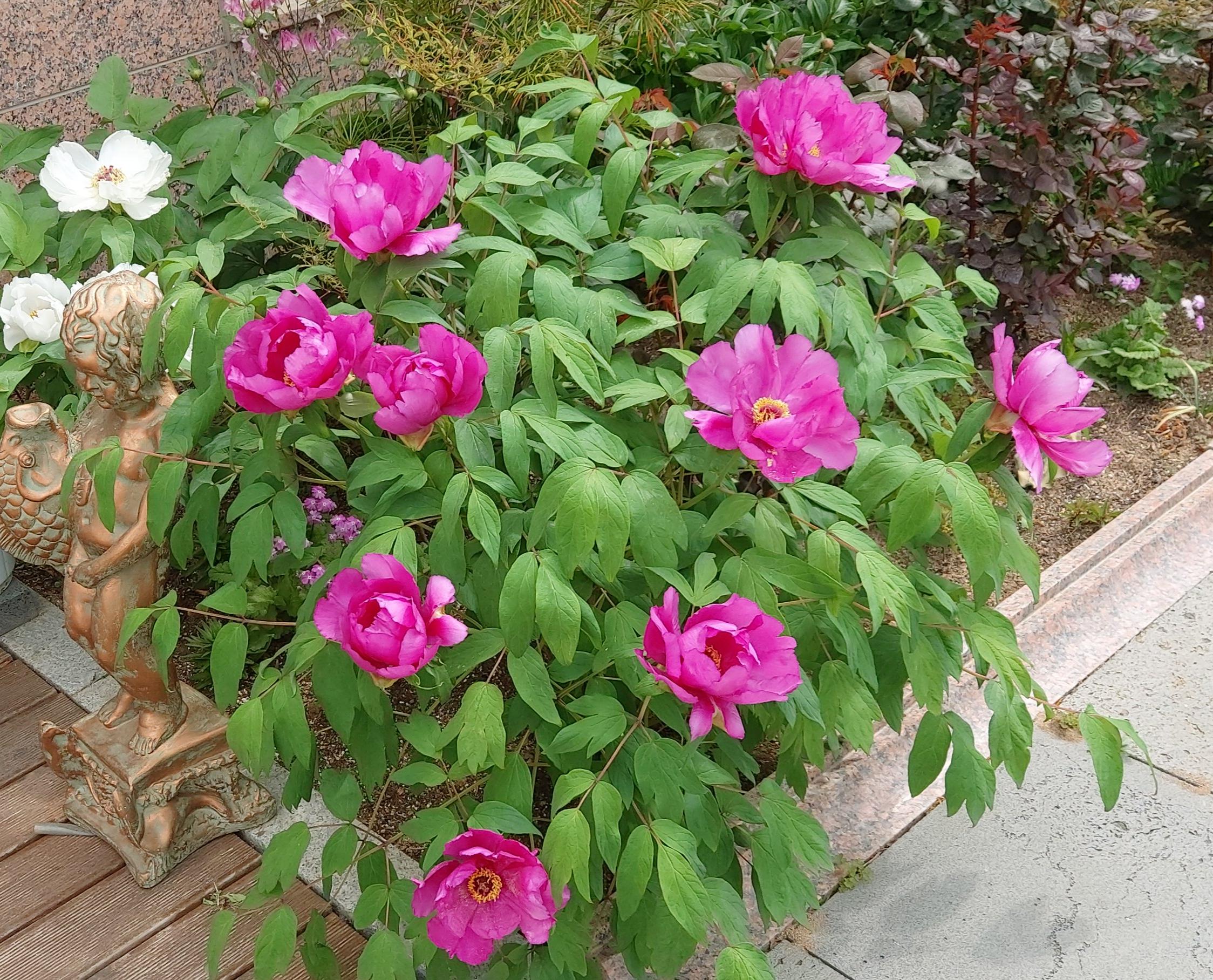 드림요양원 이미지 4